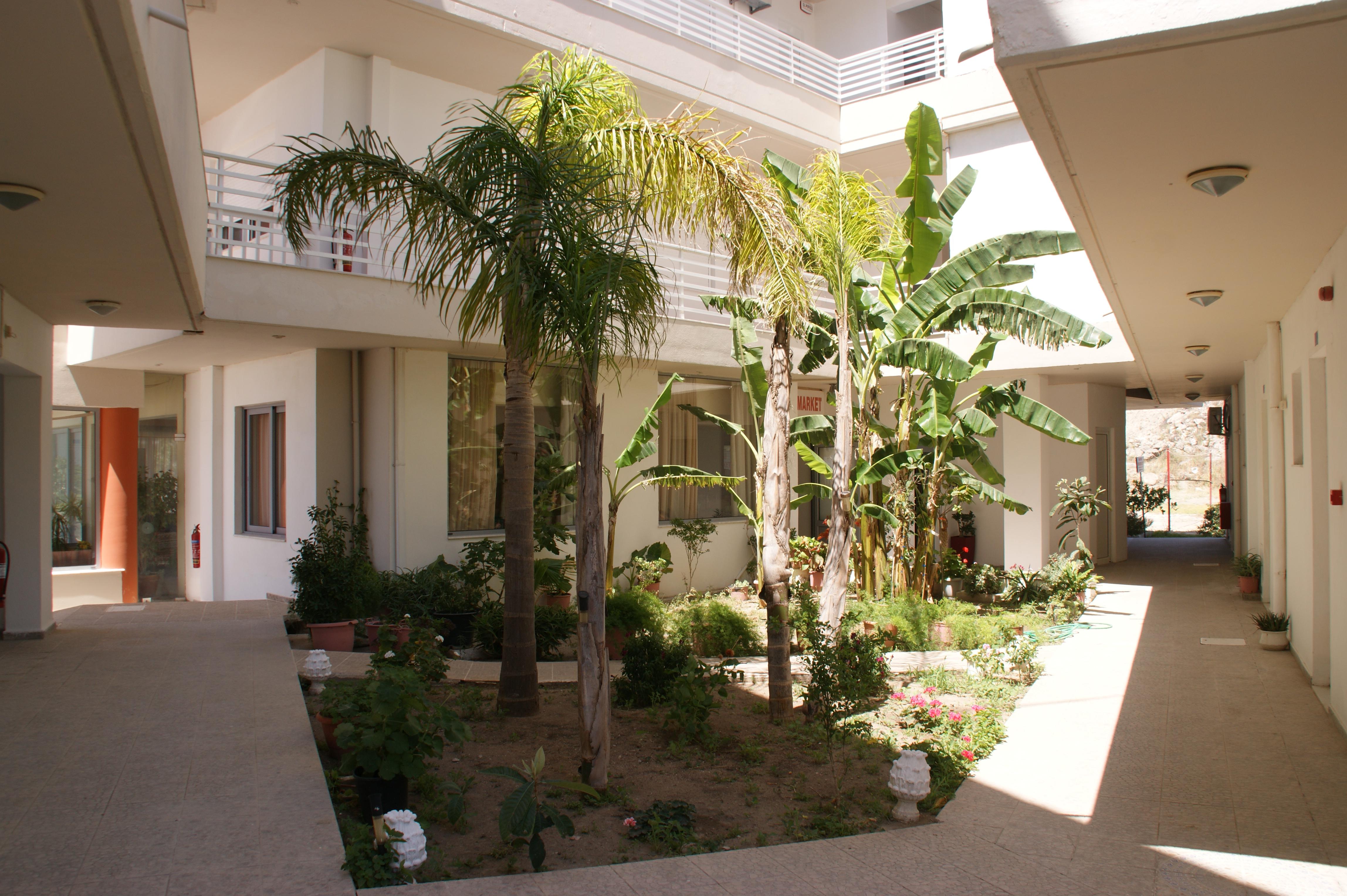 Faliraki Dream Studios & Apartments Exteriör bild