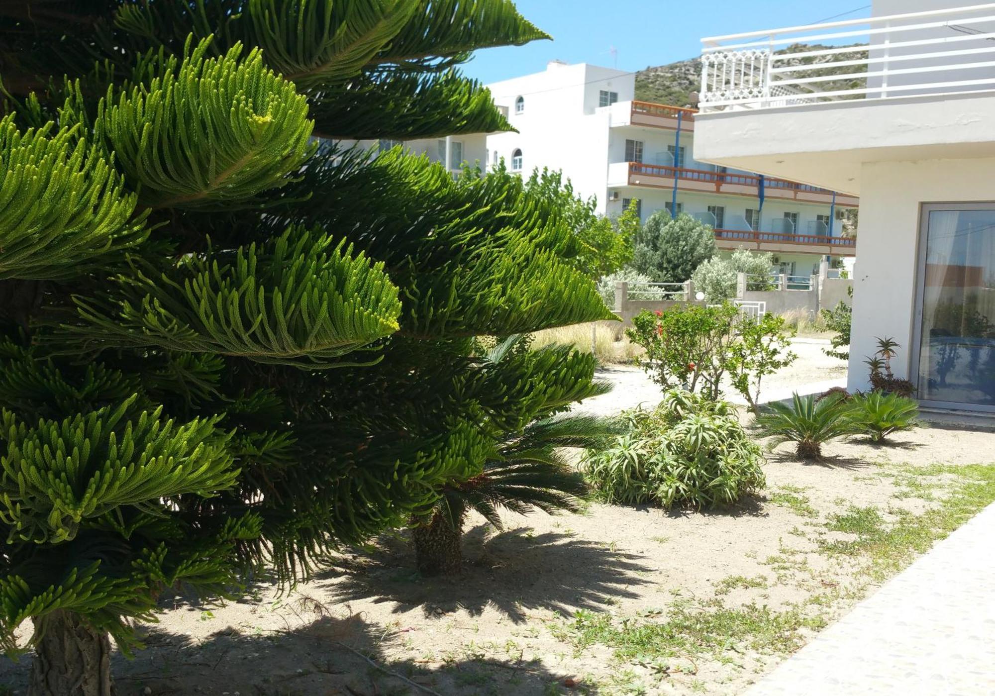 Faliraki Dream Studios & Apartments Exteriör bild